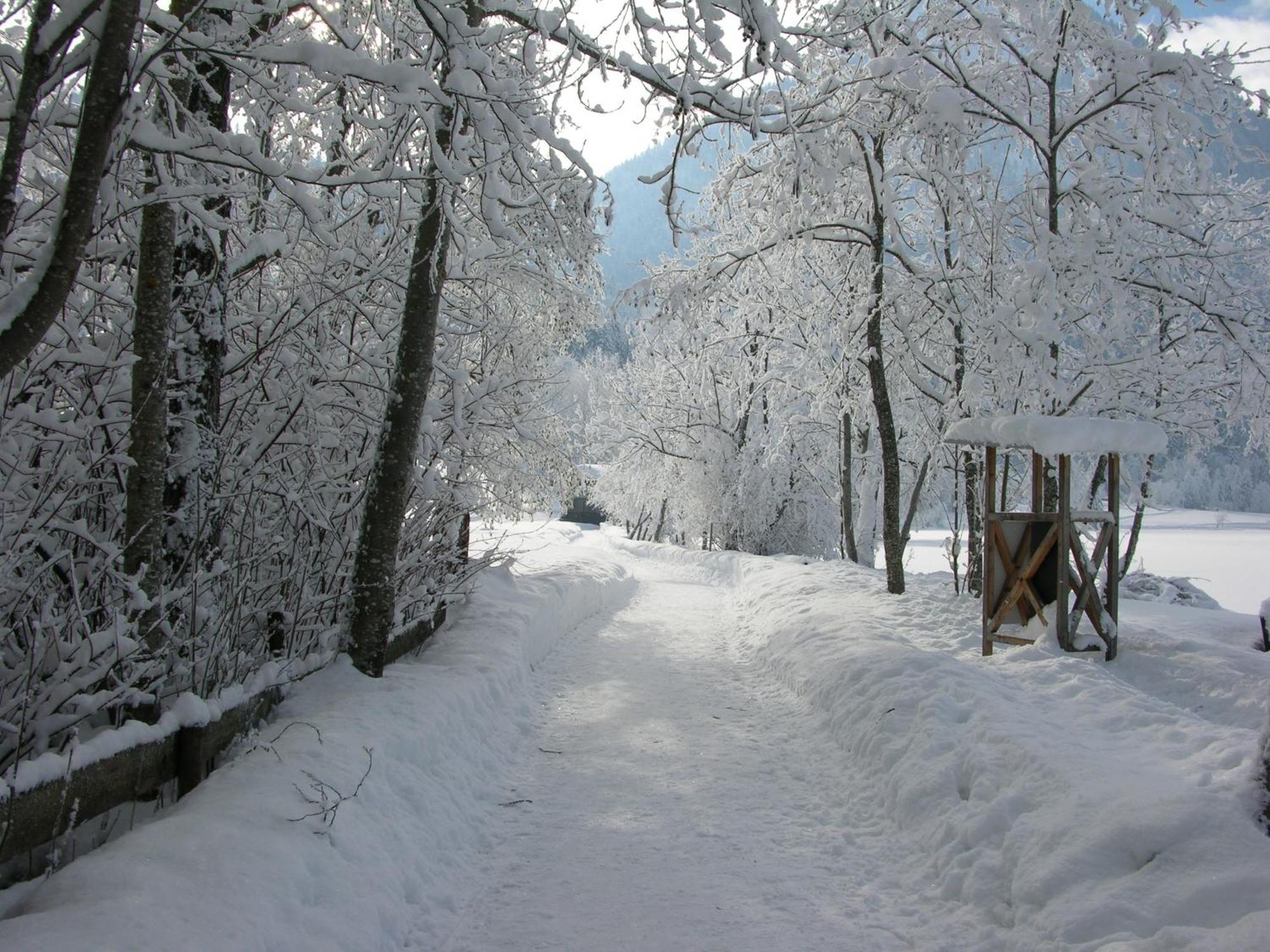 Haus Seeblick Am See เทียร์ซี ภายนอก รูปภาพ